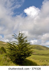 Near Stage Road And Highway One, San Mateo County.