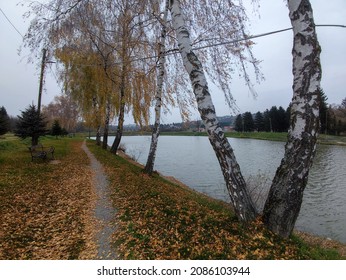 Near The Town Centre There Is A Sport’s Fishing Pond “Jezero” Which Is Managed By The Sport Fishing Society “Toplica”, Ideal Place For Gathering And Recreation.Daruvar, Croatia