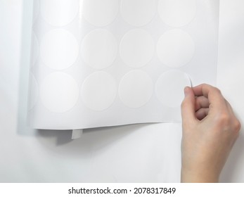 A Neat Female Hand Peels Off The Round White Sticker Of The Plotter Trimming.  Mockup Stickers