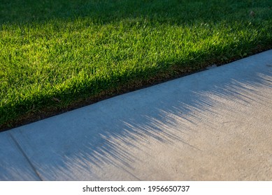A neat green grass lawn in the early morning sunlight against a clean concrete sidewalk - Shutterstock ID 1956650737