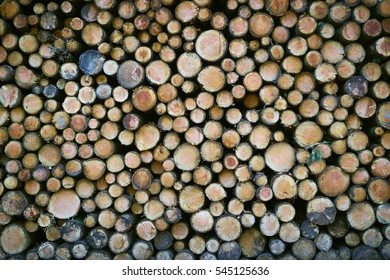 A neat stack of cut wood logs HIGH RES (6000 x 4000 px)
