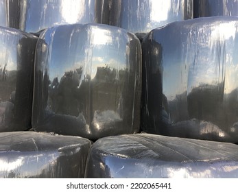 Neat Stack Of Hay Bales Wrapped In Shiny Black Plastic. Bales Are In Rows.