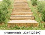 Neat wooden staircase built on small hill surrounded by lush greenery, green grass, standing in non-urban area as testament to harmonious relationship between human and unspoiled environment.