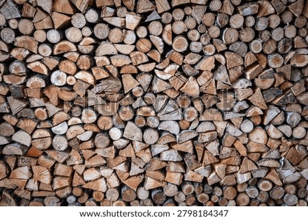 Neatly Arranged Split Timber Creates Rustic Surface With Organic Details