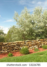 Neatly Landscaped Yard Including Some Nice Russian Olive.