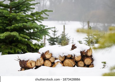 Neatly piled stack of chopped dry trunks wood covered with snow outdoors on bright cold winter day, abstract background. Chunks of stacked firewood. Wood stack in wintery landscape. - Powered by Shutterstock