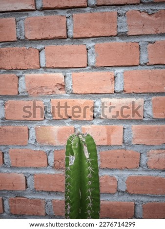 Similar – Image, Stock Photo it greenens so green I