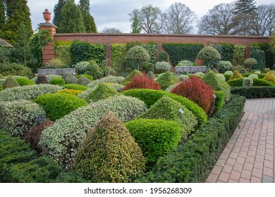 Neatly trimmed shrubs of the topairy garden rhs wisley