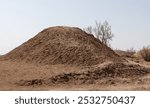 Nebka mounds. A type of sand dune found in the Lut Desert in Iran