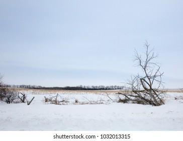 Nebraska Winter Landscape In The Country.