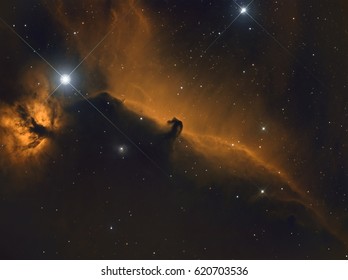 A nebula complex is known as the Horsehead Nebula. A dark nebula about 1500 light-years away in the constellation, Orion.
This image was taken using narrowband imaging techniques. - Shutterstock ID 620703536