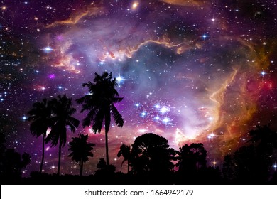 Nebula And Galaxy On Space Back On Silhouette Coconut Tree And Night Sky, Elements Of This Image Furnished By NASA