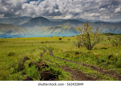 Nechisar National Park (Arba Minch, Ethiopia)