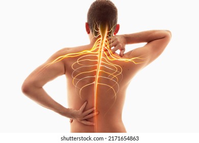Neck pain, nervous system, human anatomy, spine and neck nerves	
 - Shutterstock ID 2171654863
