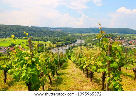 The Neckar Valley, View from the Michelsberg, Gundelsheim, Baden-Württemberg, Germany, Europe .