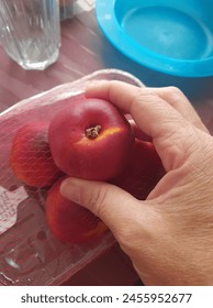 Nectarine in the kitchen with
