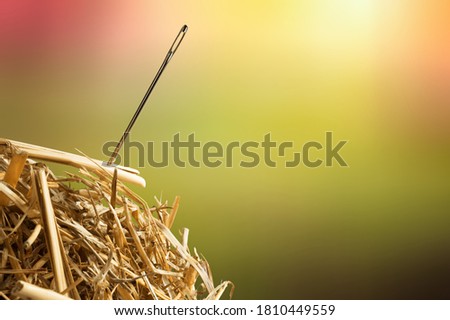 Needle in a hay stack on a blur background