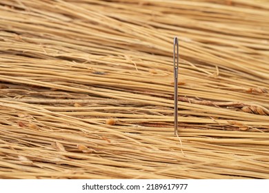 Needle in a hay stack,concept.  Sorghum bicolor straws with a sewing silver needle,  selective focus close up - Shutterstock ID 2189617977