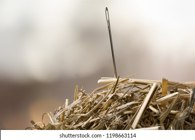 Needle In A Haystack