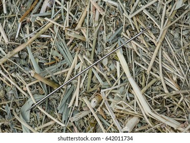 Needle in a haystack