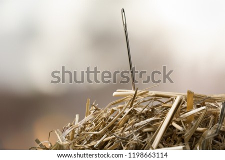 needle in a haystack