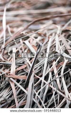 Needle in a haystack.