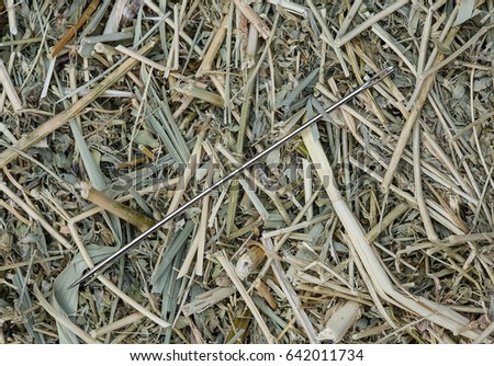 Needle in a haystack