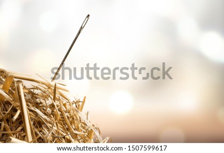 Needle in  haystack on background