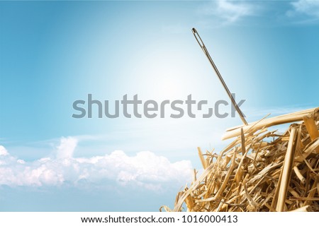 Needle in haystack on blurred background