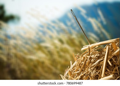Needle in haystack on blurred sky
