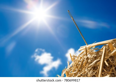 Needle in haystack on blurred sky