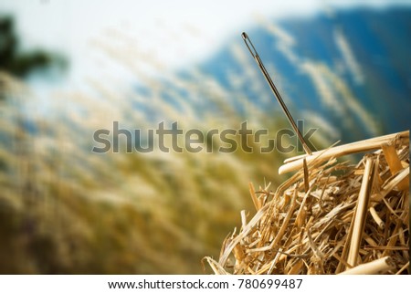 Needle in haystack on blurred sky