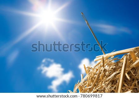 Needle in haystack on blurred sky