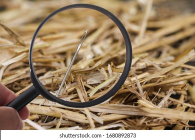Needle is lost in haystack and searching with loupe