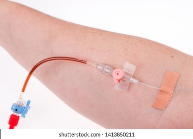 Needle To Pierce Vein In Arm. World Blood Donor Day