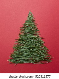 Needles pine trees in the form of tree