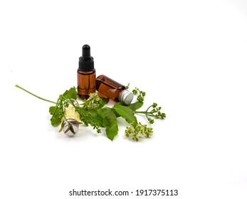 103 Neem Oil Logo Images, Stock Photos & Vectors | Shutterstock