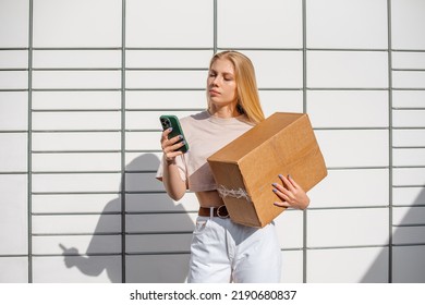 Negative Space Copy Space, A Girl Makes An Order On The Phone, A Mailbox, Express Delivery