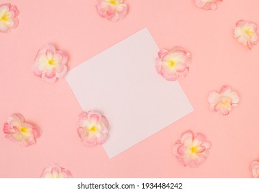 Negative space square frame with cherry blossom flowers. Pink pastel background. Minimal composition. Flat lay
