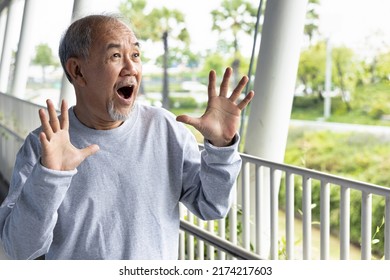 Negatively Excited Surprised Old Asian Senior Stock Photo 2174217603 ...