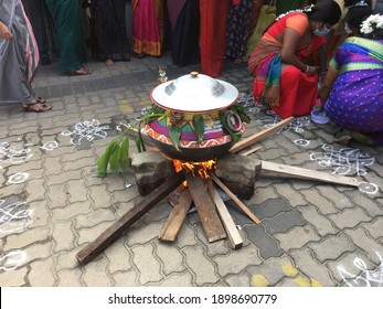 Negombo, Sri Lanka - January 20 2021: Tamil Thai Pongal Hindu New Year Day Festival At The Government Office