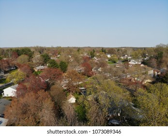 Neighbor Hood Tree Tops