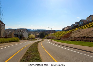 Neighborhood Two Way Street In North American Suburban Neighborhood On A Blue Sky Sunny Day