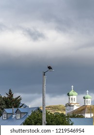 Neighborhood View in Dutch Harbor Unalaska Alaska with a Bald Eagle on top of the Light Pole