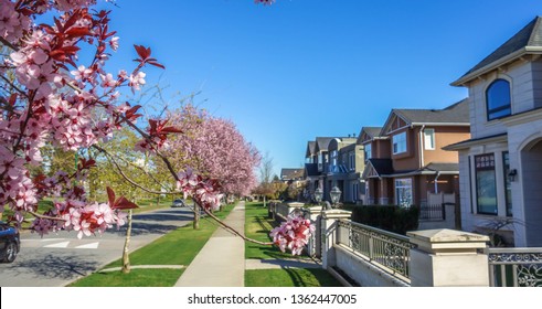 Neighbourhood View In Vancouver - Canada