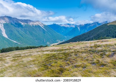 Nelson Lakes National Park In New Zealand