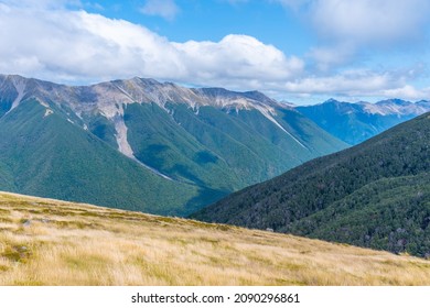 Nelson Lakes National Park In New Zealand