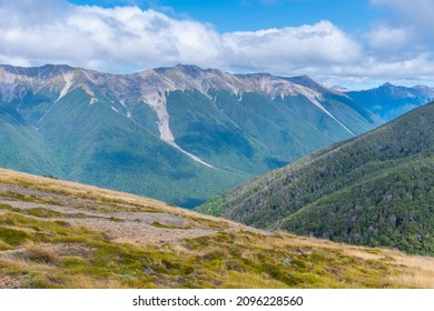 Nelson Lakes National Park In New Zealand