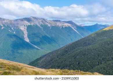 Nelson Lakes National Park In New Zealand