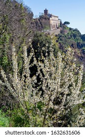 Nemi Among The Flowers View Of Palazzo Ruspoli